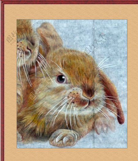 兔子工笔画图片