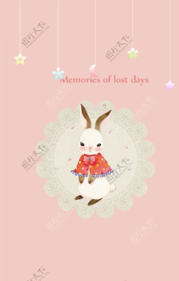 兔子壁纸图片