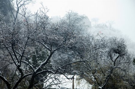 雪景图片