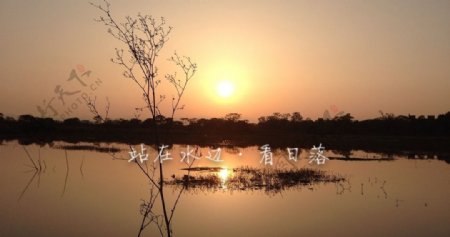 夕阳图片