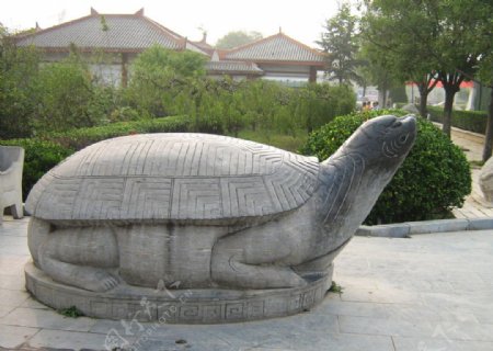 徐州龟山图片