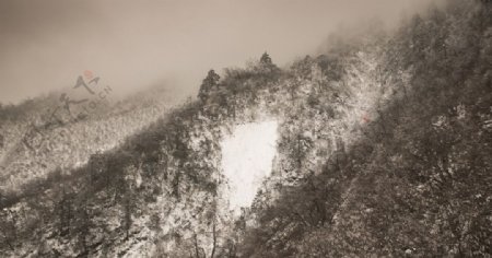 西岭雪山图片