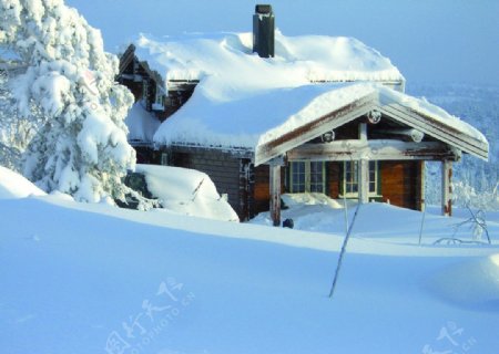 雪原小屋图片