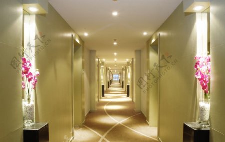 星级酒店客房走廊图片