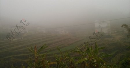 雾中的乡村田垄图片