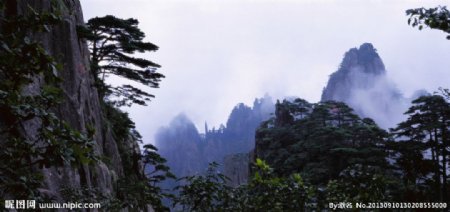 美丽山峰树林美景图片