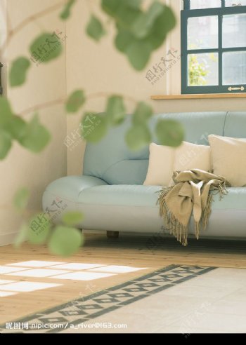 沙发绿化图片