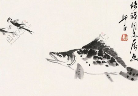桂鱼图图片