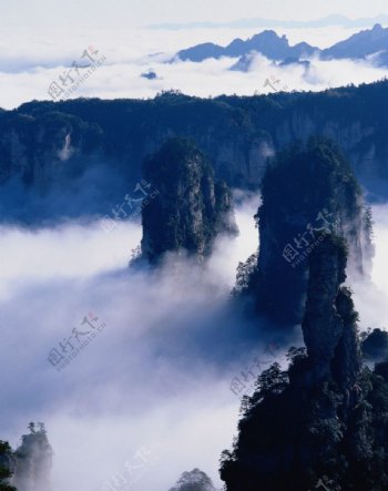 雾中山图片