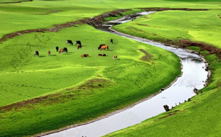 美丽河流与草原风光图片