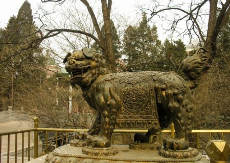 北京动物园图片