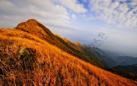 风景素材图片