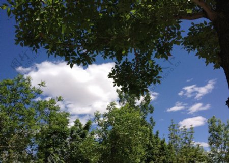 绿林云朵图片