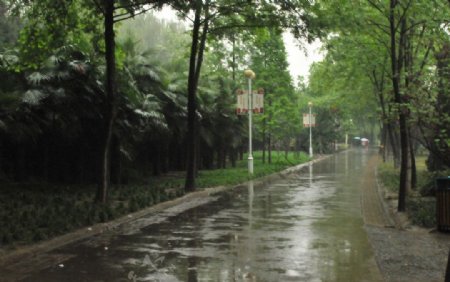 雨街图片