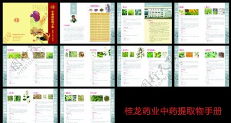 桂龙药业画册图片