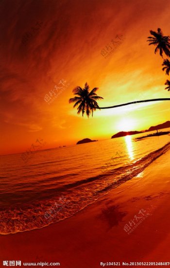 夕阳沙滩椰子树图片