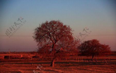 秋日的远村图片