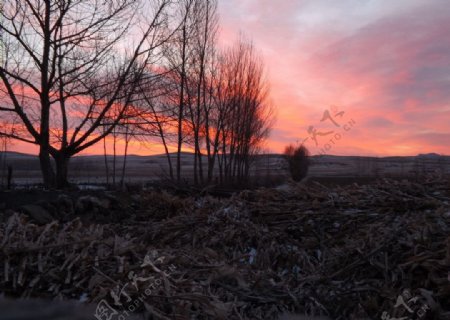 科尔沁草原的早晨图片
