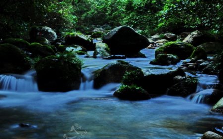 井冈山溪流图片