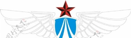 中国空军胸徽图片