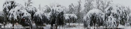 雪后的校园图片