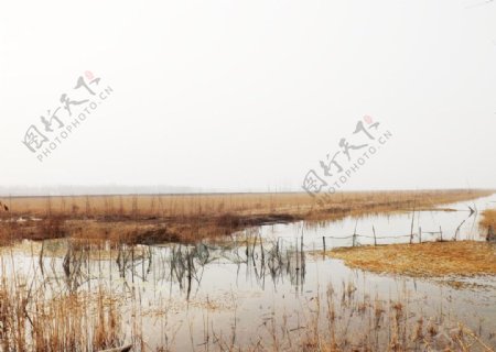 湿地冬季图片