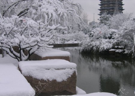 雪景图片