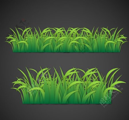 绿色草丛设计矢量图片