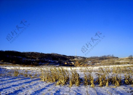 农家的冬天图片