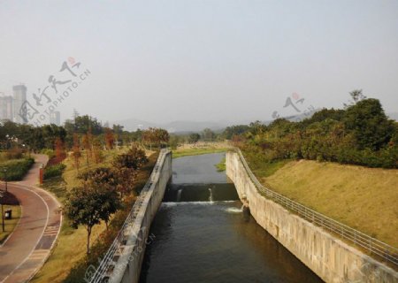 公园河水图片