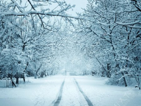 冬季公路雪景图片