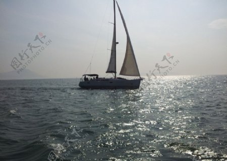 厦门海面帆船图片