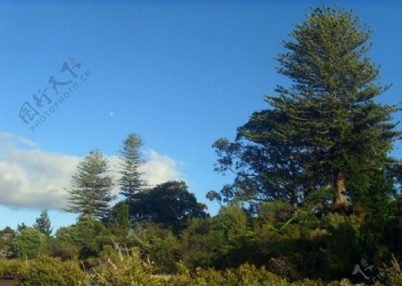 新西兰风景图片