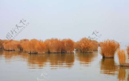 沙湖图片