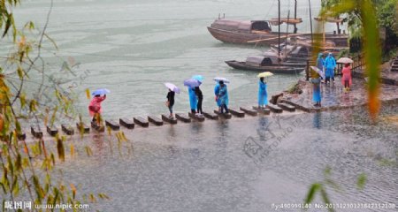 雨中行图片