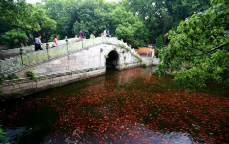 普陀山法雨寺图片