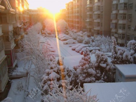清晨雪景图片