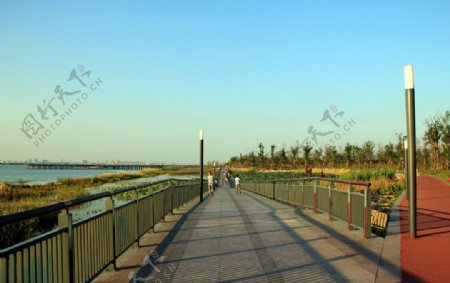 吴江东太湖生态公园图片