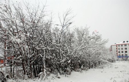 统建楼家前冬天雪图片