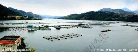 白龙湖渔场图片