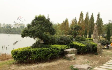 东湖景观带图片