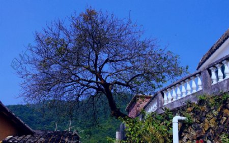 雁南飞桥溪风景图片