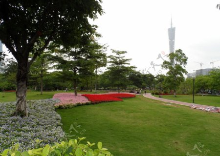 广州街心公园图片