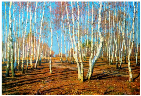 白桦树林风景油画图片