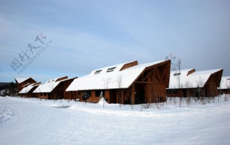 敖鲁古雅乡冬景图片