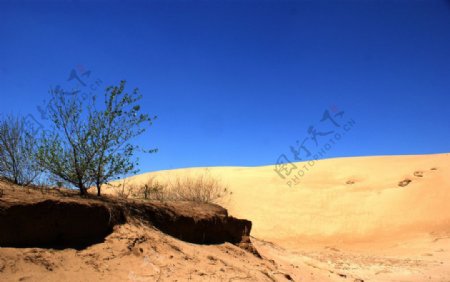沙丘与戈壁图片