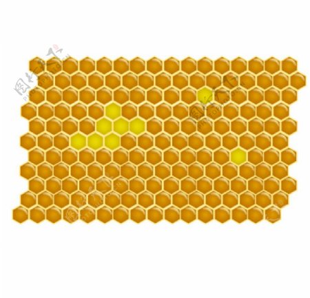 蜂巢蜂蜜板图片