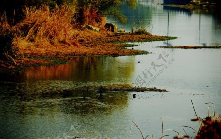 湖畔秋色图片