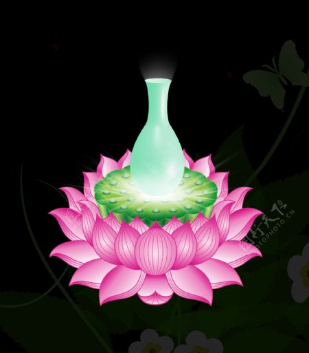 莲花圣水瓶图片