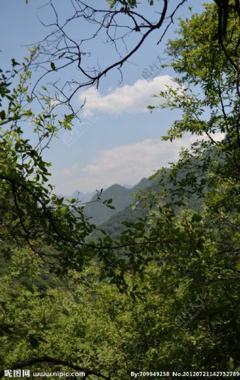 太平峪内景图片